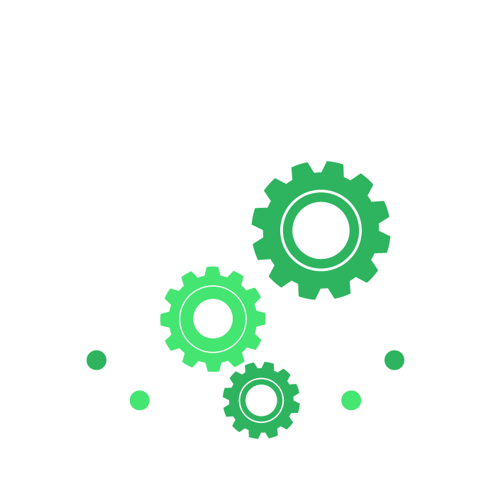 Custom IT Solutions